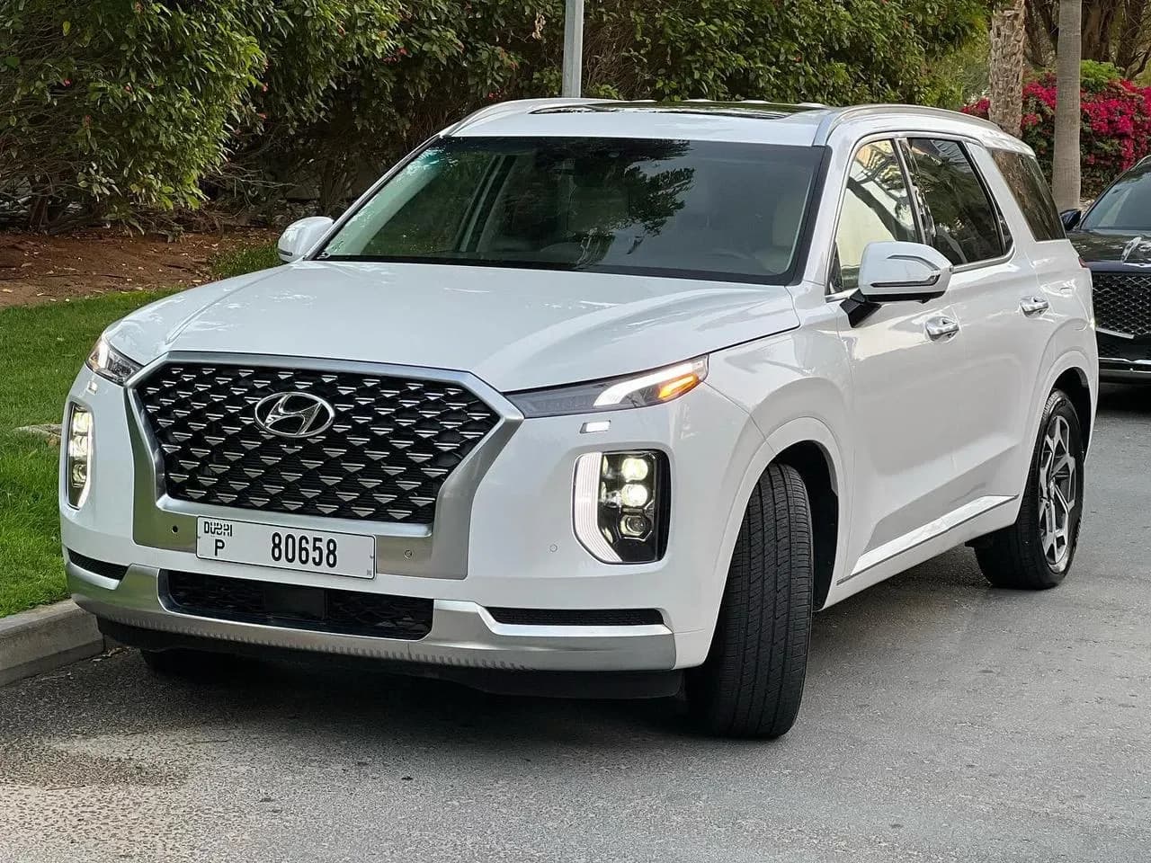 Hyundai Hyundai Palisade