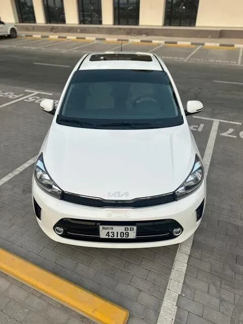 Kia Kia Pegas - Economy Cars rental car (2025) - image 1